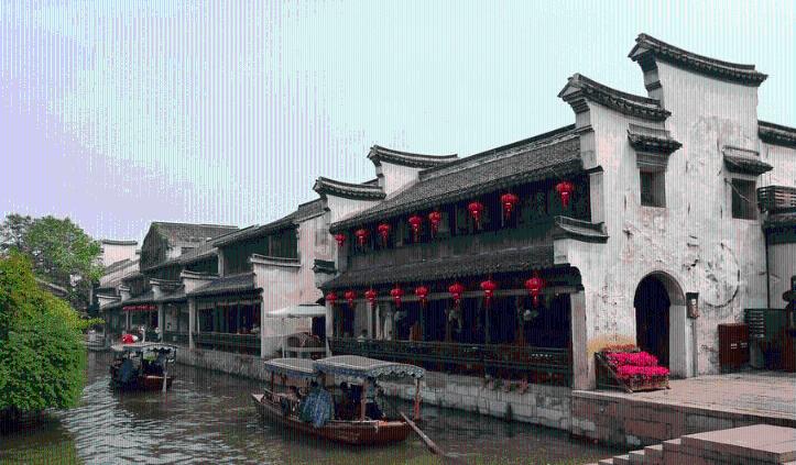 龙年看龙江｜五九七农场 打造专属种植基地