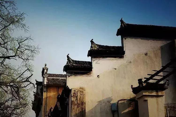探索知识之旅,尽在“怀孕能吃吉野家鸡蛋糕吗?”问答平台